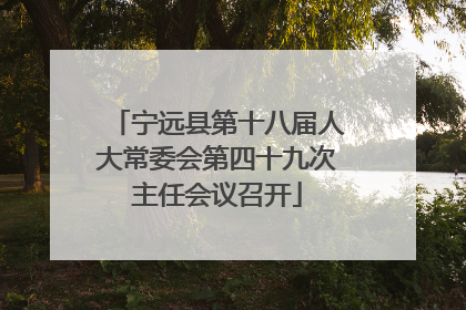 宁远县第十八届人大常委会第四十九次主任会议召开