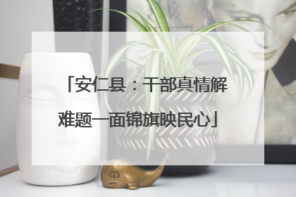 安仁县：干部真情解难题一面锦旗映民心