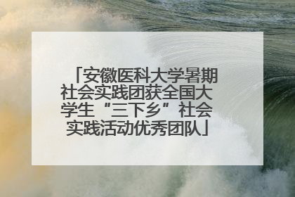 安徽医科大学暑期社会实践团获全国大学生“三下乡”社会实践活动优秀团队
