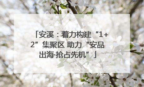 安溪：着力构建“1+2”集聚区 助力“安品出海·抢占先机”