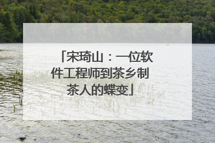 宋琦山：一位软件工程师到茶乡制茶人的蝶变