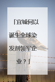 宜城何以诞生全球染发剂领军企业？