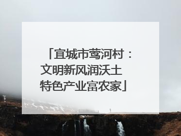 宜城市莺河村：文明新风润沃土 特色产业富农家
