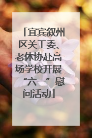 宜宾叙州区关工委、老体协赴高场学校开展“六一”慰问活动