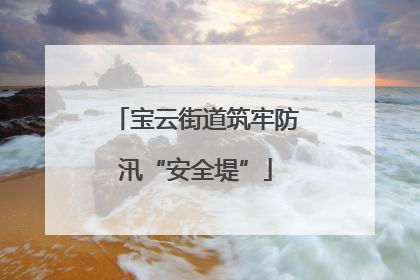 宝云街道筑牢防汛“安全堤”