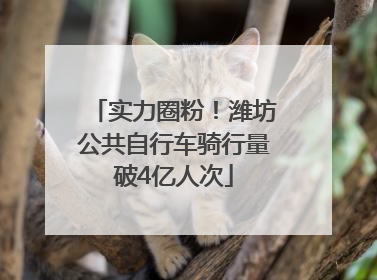 实力圈粉！潍坊公共自行车骑行量破4亿人次