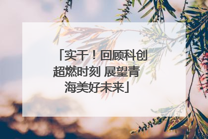 实干！回顾科创超燃时刻 展望青海美好未来