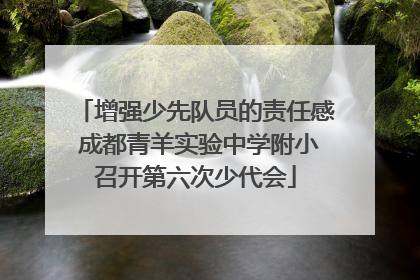 增强少先队员的责任感 成都青羊实验中学附小召开第六次少代会