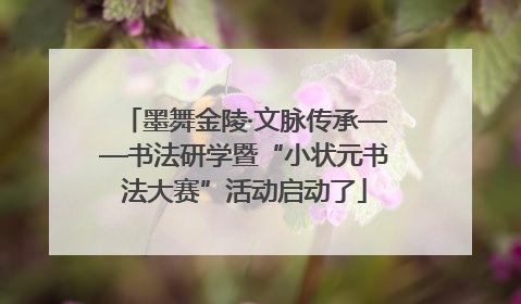 墨舞金陵·文脉传承——书法研学暨“小状元书法大赛”活动启动了