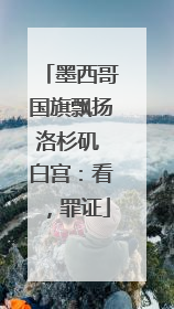 墨西哥国旗飘扬洛杉矶 白宫：看，罪证