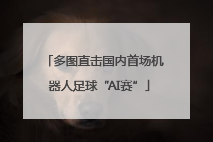 多图直击国内首场机器人足球“AI赛”