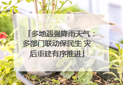多地遇强降雨天气：多部门联动保民生 灾后重建有序推进
