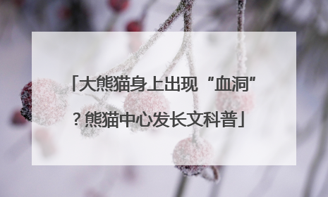 大熊猫身上出现“血洞”？熊猫中心发长文科普