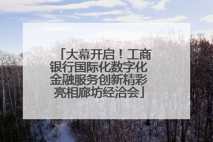 大幕开启！工商银行国际化数字化金融服务创新精彩亮相廊坊经洽会