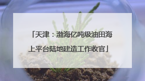 天津：渤海亿吨级油田海上平台陆地建造工作收官