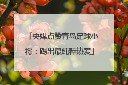 央媒点赞青岛足球小将：踢出最纯粹热爱