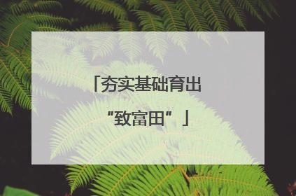 夯实基础育出“致富田”