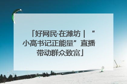 好网民·在潍坊｜“小高书记正能量”直播 带动群众致富