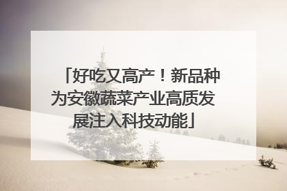 好吃又高产！新品种为安徽蔬菜产业高质发展注入科技动能