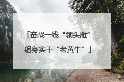 奋战一线“领头雁” 躬身实干“老黄牛”