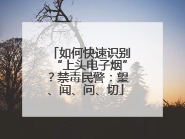 如何快速识别“上头电子烟”？禁毒民警：望、闻、问、切