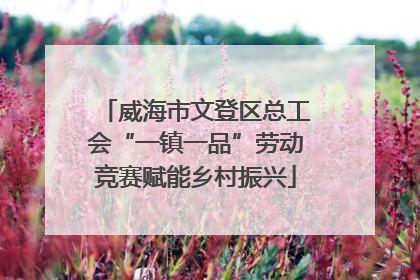 威海市文登区总工会“一镇一品”劳动竞赛赋能乡村振兴