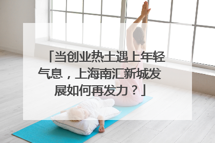 当创业热土遇上年轻气息，上海南汇新城发展如何再发力？