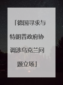 德国寻求与特朗普政府协调涉乌克兰问题立场