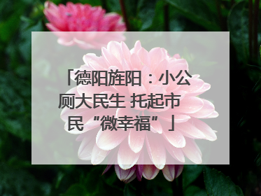 德阳旌阳：小公厕大民生 托起市民“微幸福”