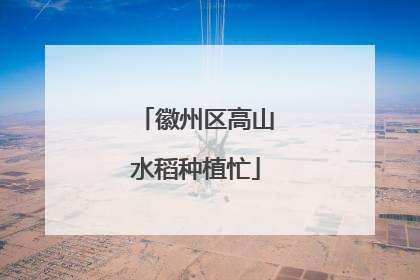 徽州区高山水稻种植忙