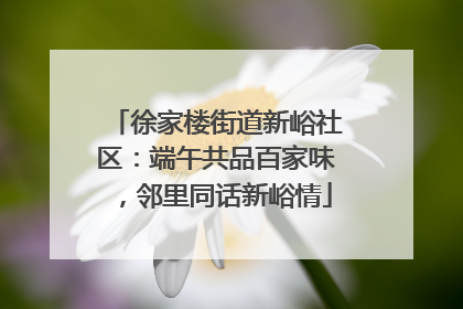 徐家楼街道新峪社区：端午共品百家味，邻里同话新峪情