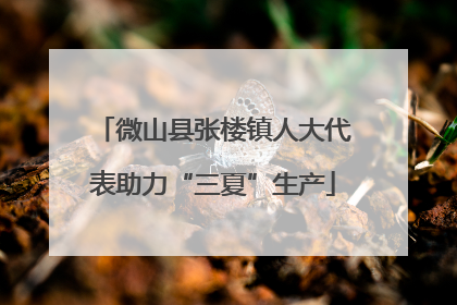微山县张楼镇人大代表助力“三夏”生产
