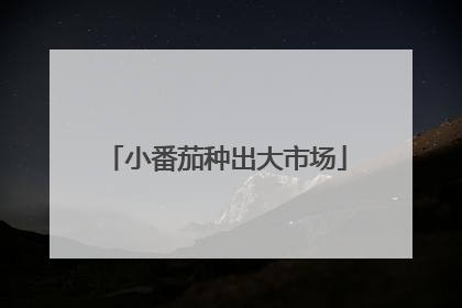 小番茄种出大市场