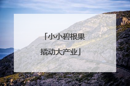 小小碧根果撬动大产业