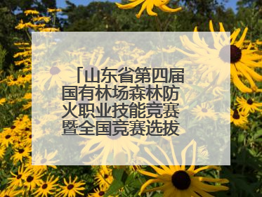 山东省第四届国有林场森林防火职业技能竞赛暨全国竞赛选拔赛鸣锣开赛