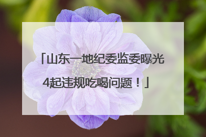 山东一地纪委监委曝光4起违规吃喝问题！