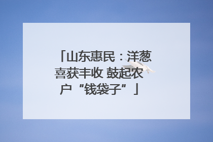 山东惠民：洋葱喜获丰收 鼓起农户“钱袋子”