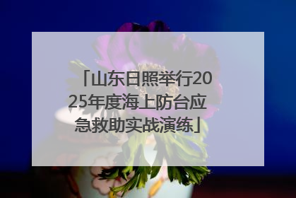 山东日照举行2025年度海上防台应急救助实战演练