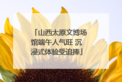 山西太原文博场馆端午人气旺 沉浸式体验受追捧