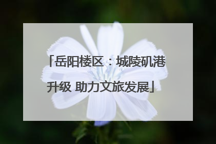 岳阳楼区：城陵矶港升级 助力文旅发展