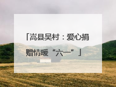 嵩县吴村：爱心捐赠情暖“六一”