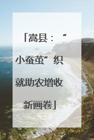 嵩县：“小蚕茧”织就助农增收新画卷