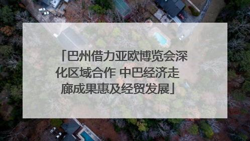 巴州借力亚欧博览会深化区域合作 中巴经济走廊成果惠及经贸发展