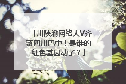 川陕渝网络大V齐聚四川巴中！是谁的红色基因动了？