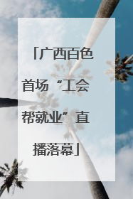 广西百色首场“工会帮就业”直播落幕