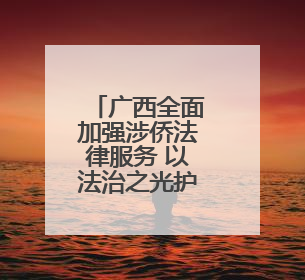 广西全面加强涉侨法律服务 以法治之光护侨益聚侨力暖侨心