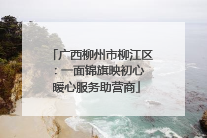广西柳州市柳江区：一面锦旗映初心 暖心服务助营商