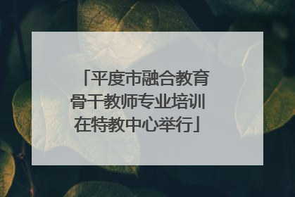 平度市融合教育骨干教师专业培训在特教中心举行