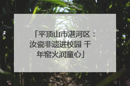 平顶山市湛河区：汝瓷非遗进校园 千年窑火润童心