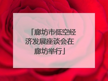 廊坊市低空经济发展座谈会在廊坊举行